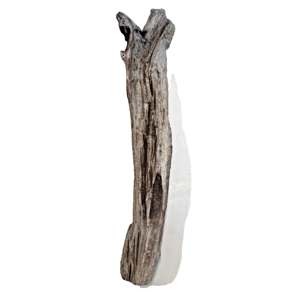Set of 2 Cali. Coast Wavy Natural Driftwood Beach Burlwood 1.10 Lbs Terrarium